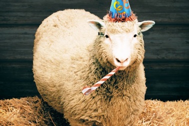 Đố bạn: Cừu Dolly được nhân bản khi nào?