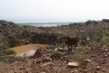 Ngổn ngang “kho báu” núi Tàu