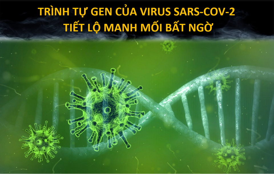 Chợ hải sản ở Vũ Hán có thực sự là ổ dịch Covid-19 đầu tiên của thế giới? - 4 Chợ hải sản ở Vũ Hán có thực sự là ổ dịch Covid-19 đầu tiên của thế giới? - 4