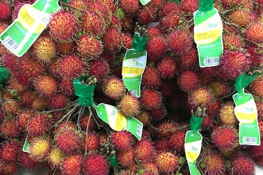 VinEco ra mắt sản phẩm Chôm chôm sạch