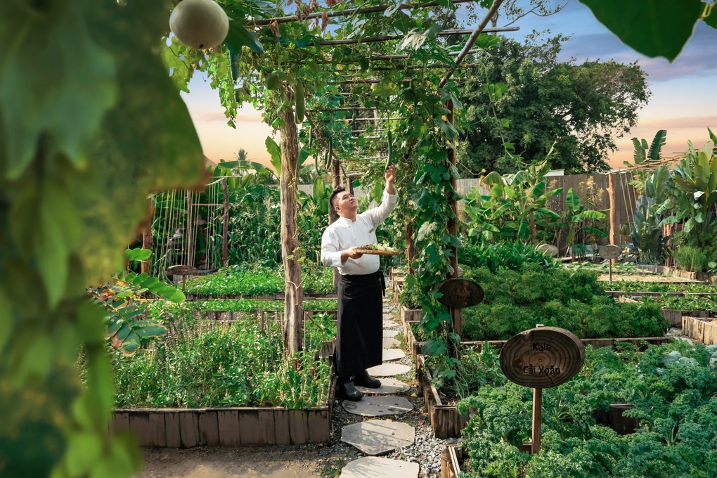 Hành trình 15 năm phát triển du lịch bền vững của An Lâm Retreats Saigon River - 4 Hành trình 15 năm phát triển du lịch bền vững của An Lâm Retreats Saigon River - 4