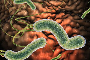 Video tư vấn: Làm thế nào để nhận biết khuẩn HP kháng thuốc?