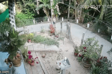 Người phụ nữ bị hàng xóm đánh tử vong sau những lời thách thức