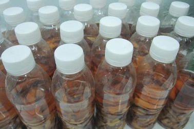 Hỏng da vì rượu ngâm rễ mật gấu