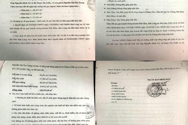 Phó Chủ tịch UBND TP bị giả chữ ký trong “Chứng chỉ quy hoạch”?!