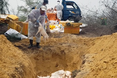 Phát hiện hàng trăm kg thịt lợn bốc mùi hôi thối vận chuyển vào TP. HCM tiêu thụ