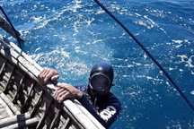 Quảng Ngãi: Ra khơi xem ngư dân lặn bắt ốc kiếm tiền triệu