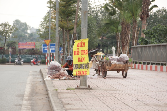 Hà Nội: Lấy mác giải cứu nông sản để chiếm vỉa hè nhiều tuyến phố - 11 Hà Nội: Lấy mác giải cứu nông sản để chiếm vỉa hè nhiều tuyến phố - 11