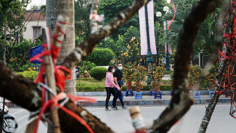 Những cành đào dán tem đầu tiên xuất hiện ở Hà Nội - 10 Những cành đào dán tem đầu tiên xuất hiện ở Hà Nội - 10