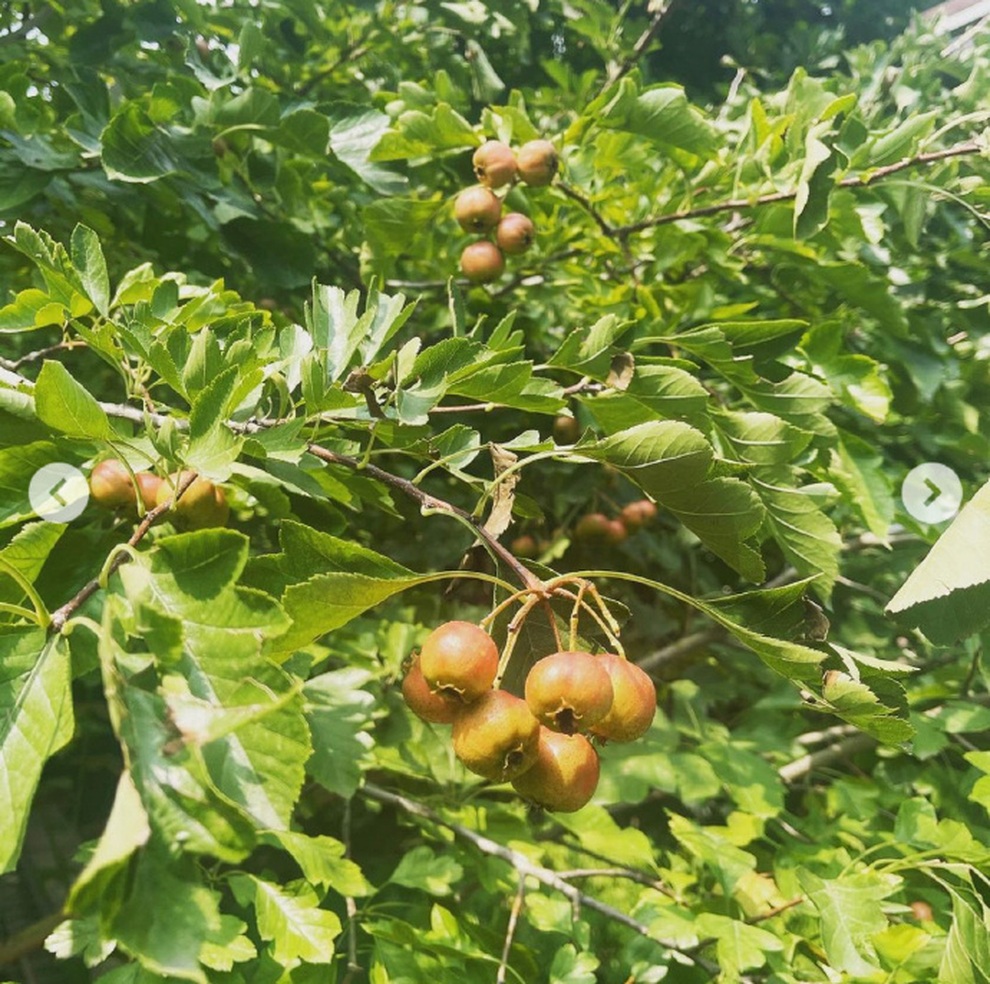 Triệu Vy có cập nhật đầu tiên trên trang cá nhân sau bão phong sát - 3 Triệu Vy có cập nhật đầu tiên trên trang cá nhân sau bão phong sát - 3