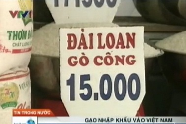 Thị trường gạo đang mất kiểm soát?