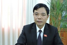 “78 triệu mảnh ruộng manh mún thì nông nghiệp không thể hiệu quả”