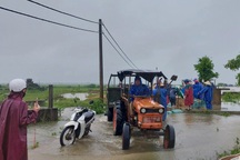 Nước lũ dâng cao, người dân trở tay không kịp, đội mưa đắp đê "cứu" lúa