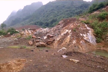 Tan nát hàng chục ha rừng