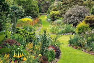 Biến chỗ nuôi gà cũ nát thành "thiên đường" xanh mát hút các loài chim