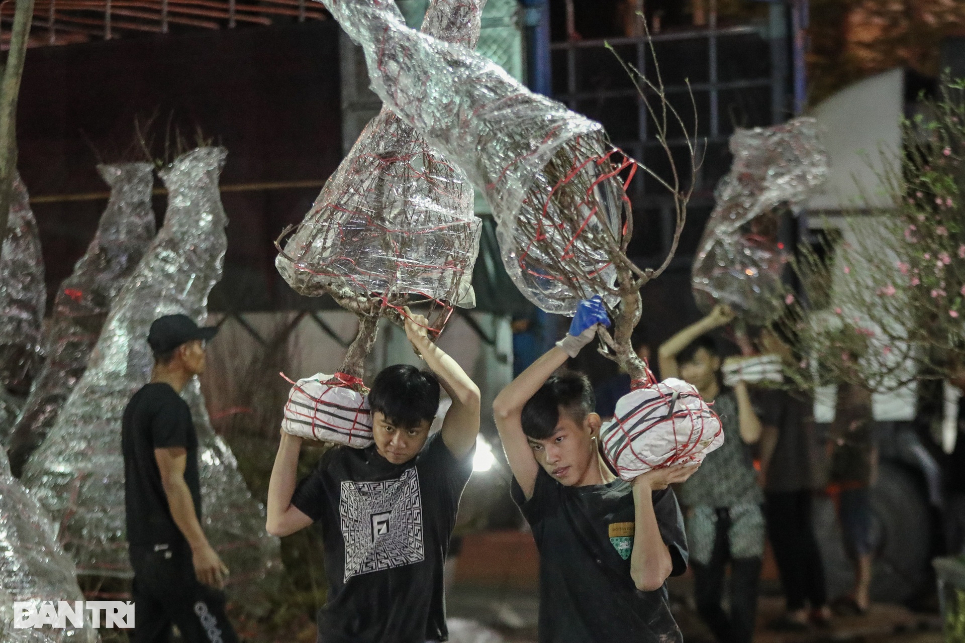 Tiểu thương co ro trong đêm lạnh, mong bán hết hoa để về nhà ăn Tết - 11 Tiểu thương co ro trong đêm lạnh, mong bán hết hoa để về nhà ăn Tết - 11
