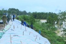 Hơn 150 người đội mưa “cứu” đê sông Chu