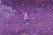 Người phụ nữ sống sót 5 ngày trong rừng nhờ rượu vang và kẹo mút