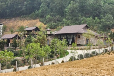 Chủ tịch Hà Nội: Xử nghiêm vụ "xẻ thịt" đất rừng và bãi sông Hồng