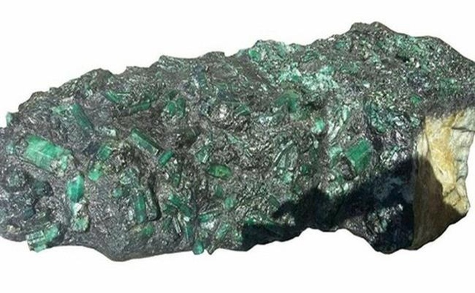 Hòn đá xấu xí, khúc gỗ mục nát bất ngờ có giá hàng chục tỷ đồng - 18 Hòn đá xấu xí, khúc gỗ mục nát bất ngờ có giá hàng chục tỷ đồng - 18