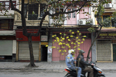 Ngắm Hà Nội Tết bình yên, càng băn khoăn chuyện quy hoạch
