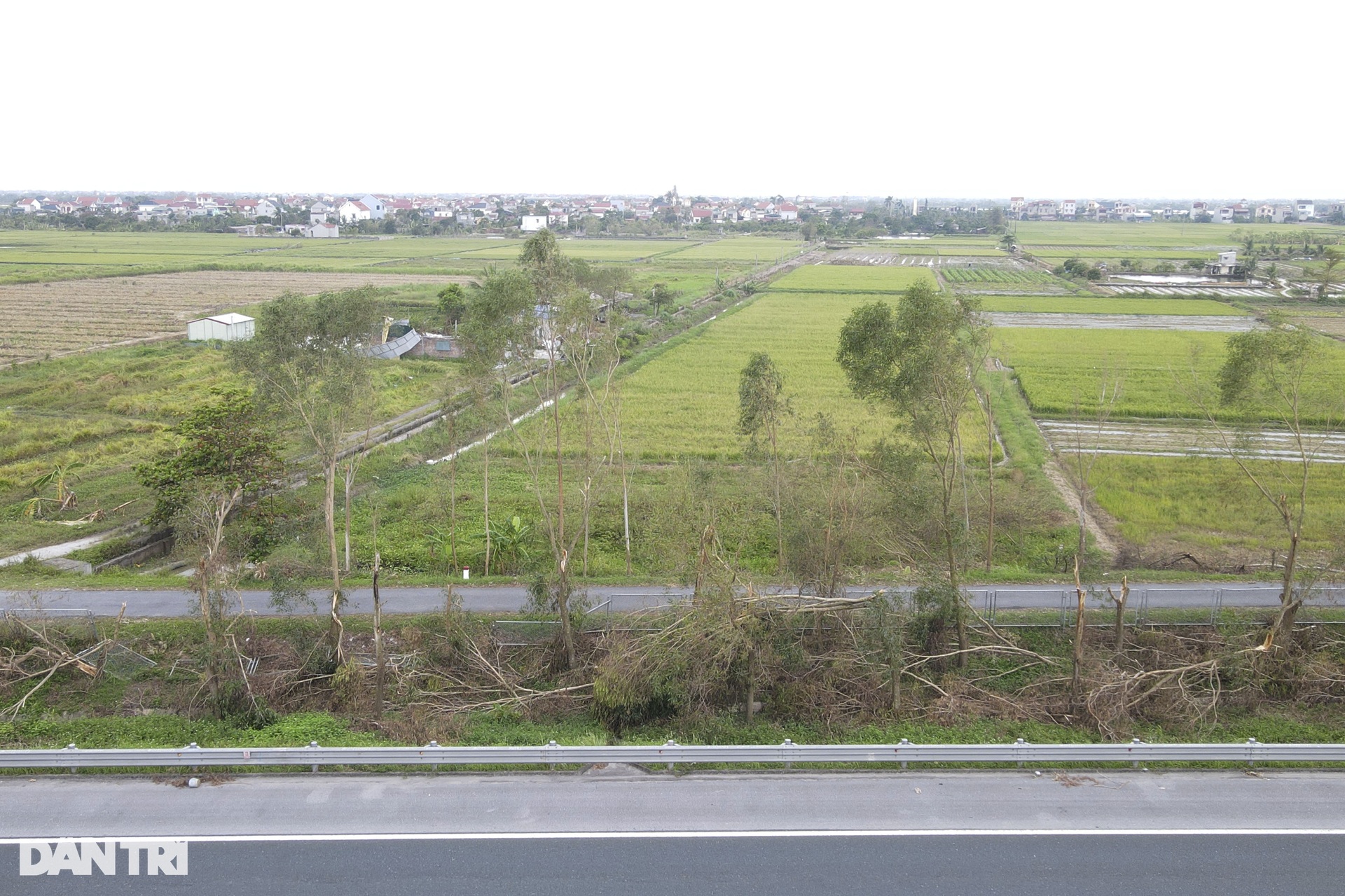 41.000 cây xanh dọc tuyến cao tốc Hà Nội - Hải Phòng gãy đổ do bão Yagi - 2