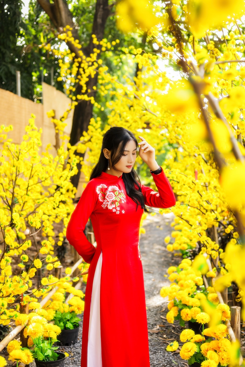 Mẹ ơi, Tết này con xa nhà… - 2 Mẹ ơi, Tết này con xa nhà… - 2