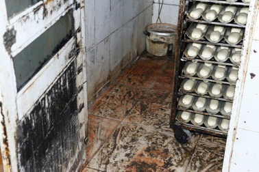 Bất ngờ kiểm tra lò bánh mỳ thủ công, lực lượng chức năng "tá hỏa" vì quá dơ bẩn