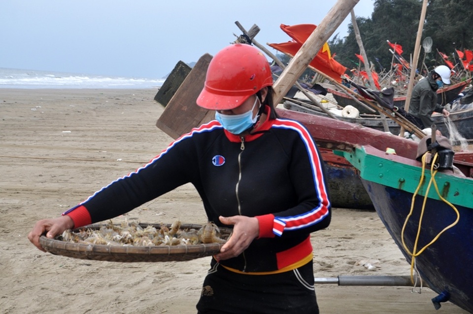 Xông biển đầu năm, mỗi ngày thu nhập cả triệu đồng - 7 Xông biển đầu năm, mỗi ngày thu nhập cả triệu đồng - 7