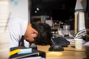 Nhảy việc ồ ạt: Người lao động "sục sôi" tham vọng học cao