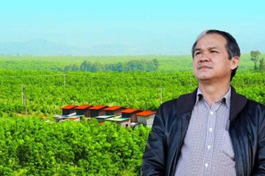 Trồng chanh dây, bầu Đức dự thu hơn 1.000 tỷ đồng trong năm 2017