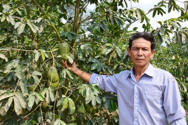 Những nông dân bắt đất phèn, mặn "đẻ ra" tiền tỷ mỗi năm