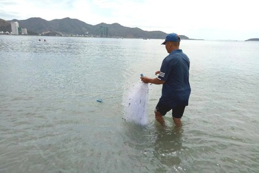 Săn lộc rơi của biển