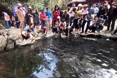 Dịp Tết, doanh thu từ "ngành công nghiệp không khói" giảm mạnh