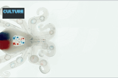 Ngành công nghiệp rô-bốt có thể sẽ phải thay đổi vì điều này