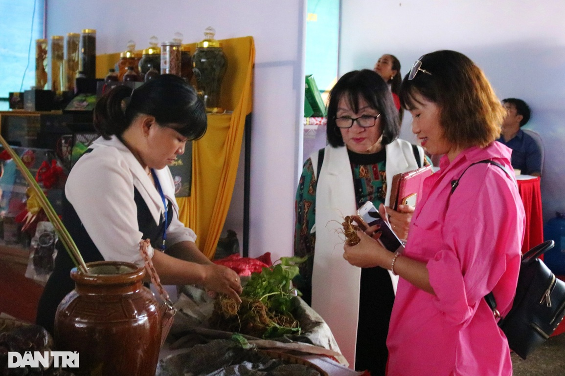 Nhộn nhịp phiên chợ ở thủ phủ sâm Ngọc Linh, thu về hơn 30 tỷ đồng - 1 Nhộn nhịp phiên chợ ở thủ phủ sâm Ngọc Linh, thu về hơn 30 tỷ đồng - 1