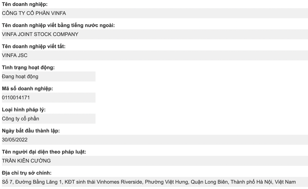 VinFa mà Vingroup vừa thoái hết vốn là doanh nghiệp nào? - 1