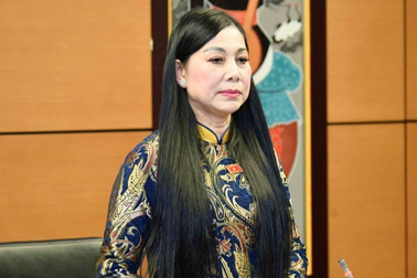 Tạm đình chỉ nhiệm vụ đại biểu Quốc hội của bà Hoàng Thị Thúy Lan