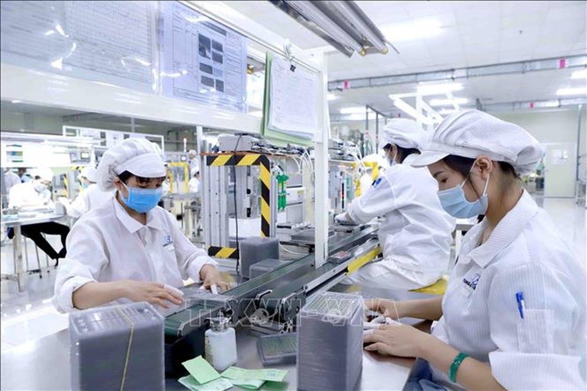 Các doanh nghiệp cơ bản đã phục hồi được sản xuất kinh doanh - 2 Các doanh nghiệp cơ bản đã phục hồi được sản xuất kinh doanh - 2