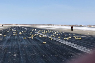 May mắn nhặt được thỏi vàng 20kg rơi từ máy bay Nga