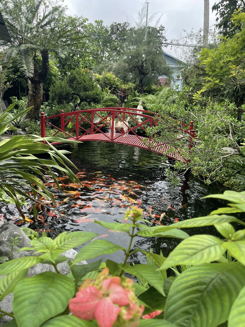 Ông chủ nội thất Hà Nội bỏ phố về quê, khởi nghiệp lại từ hai bàn tay trắng - 3 Ông chủ nội thất Hà Nội bỏ phố về quê, khởi nghiệp lại từ hai bàn tay trắng - 3