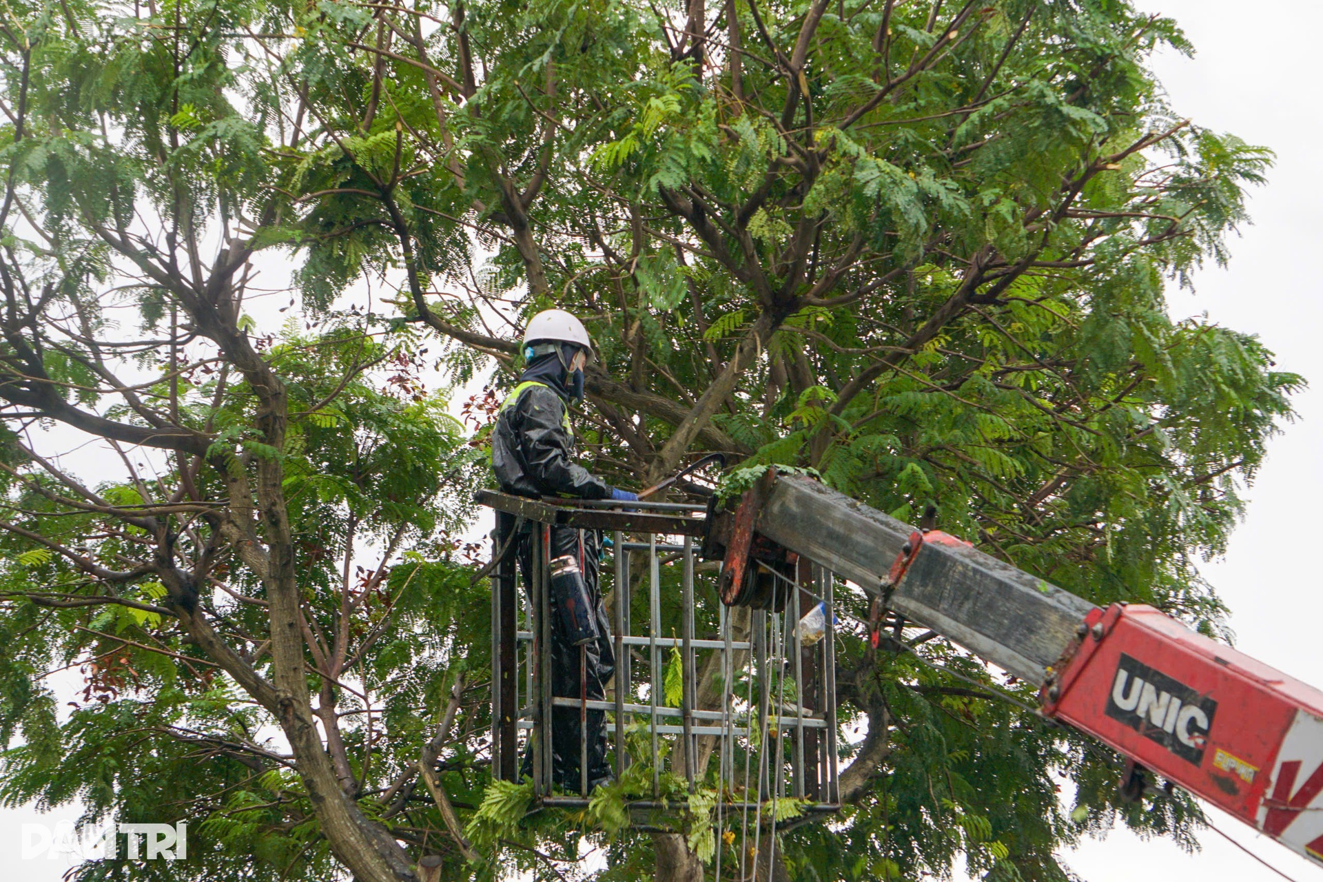 Các tỉnh, thành miền Trung hối hả trước giờ bão Kajiki đổ bộ - 14 Các tỉnh, thành miền Trung hối hả trước giờ bão Kajiki đổ bộ - 14