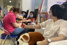 43 tỉnh, thành chung tay khắc phục tình trạng thiếu máu trong Tết