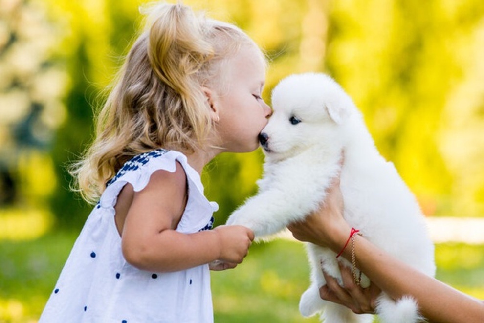 Có nên hôn thú cưng bằng miệng? - 2 Có nên hôn thú cưng bằng miệng? - 2