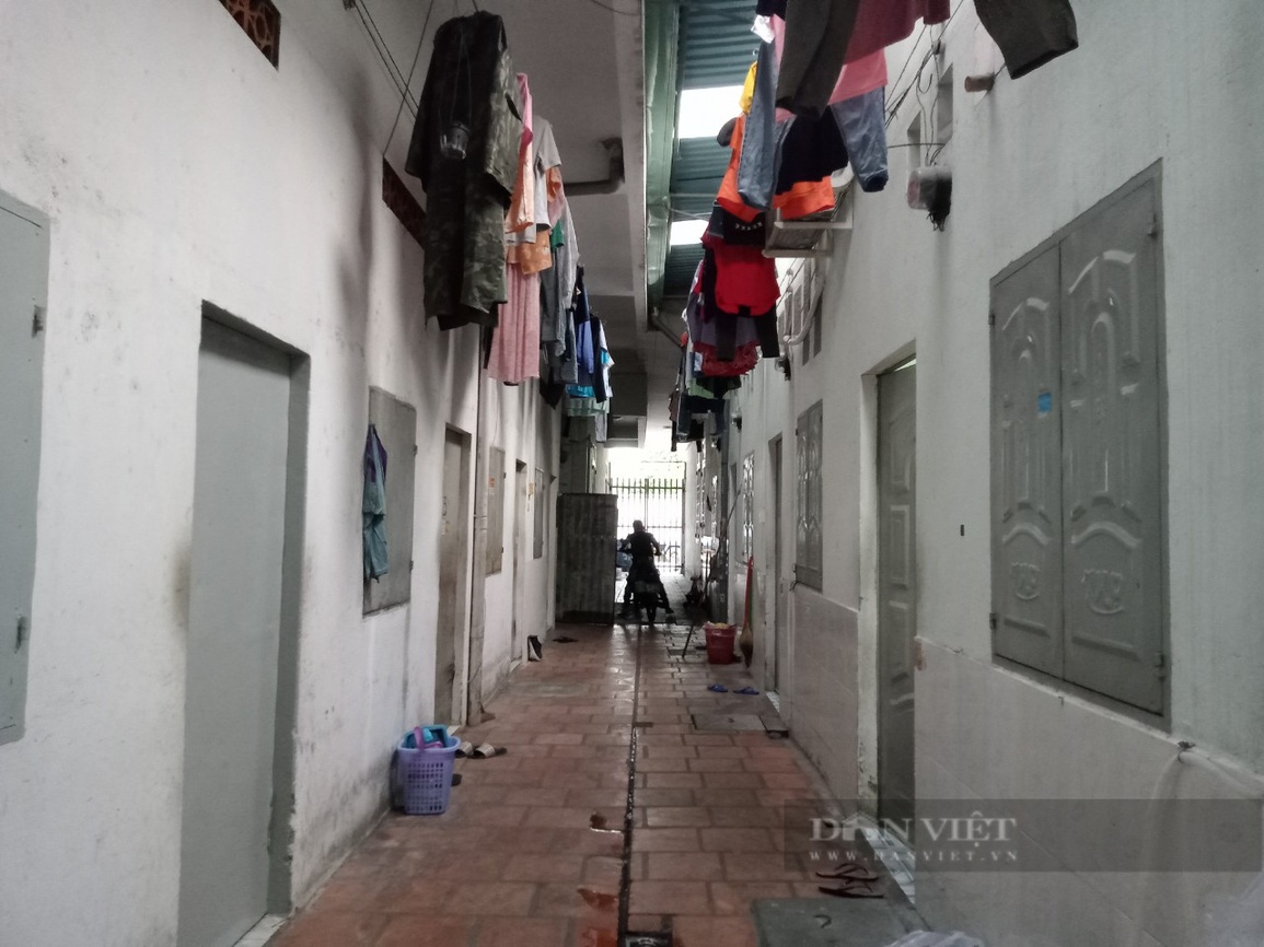TPHCM: Thủ phủ nhà trọ sôi động lại vì những lý do này - 3 TPHCM: Thủ phủ nhà trọ sôi động lại vì những lý do này - 3