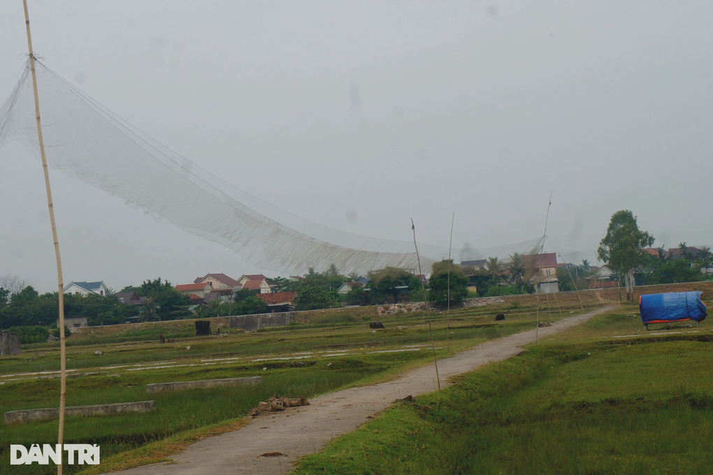 Công làm muối không bằng phụ hồ, diêm dân bỏ nghề, đồng để hoang - 3 Công làm muối không bằng phụ hồ, diêm dân bỏ nghề, đồng để hoang - 3