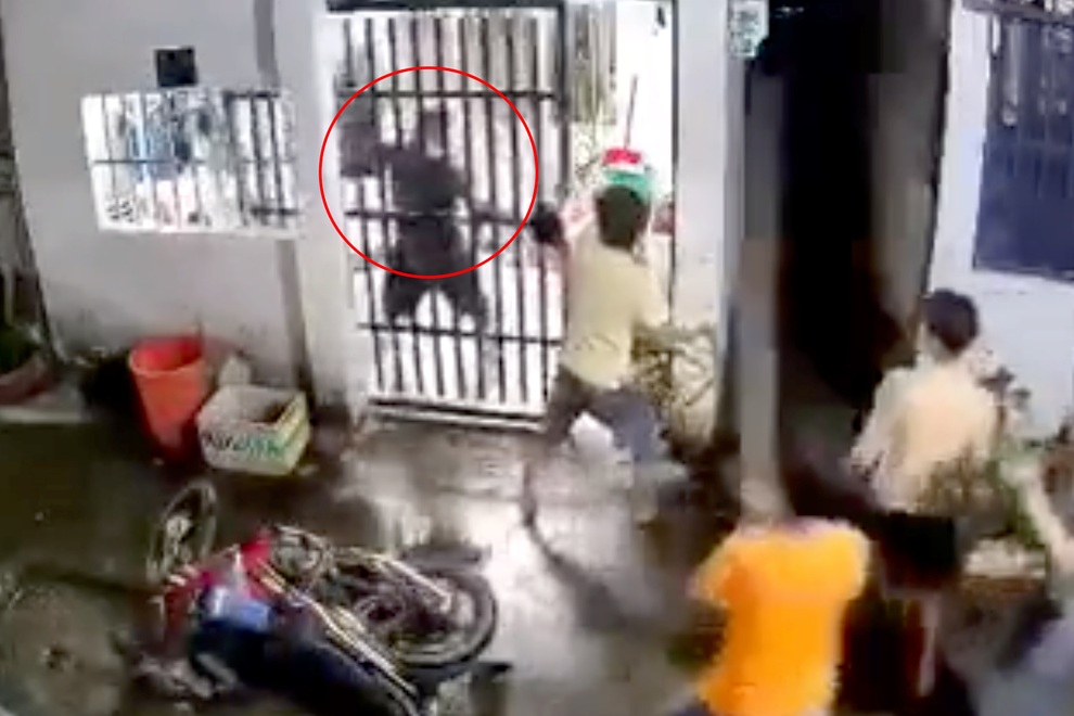 Lời khai của nghi phạm đâm chết 2 vợ chồng đang ăn cơm trong nhà - 1 Lời khai của nghi phạm đâm chết 2 vợ chồng đang ăn cơm trong nhà - 1