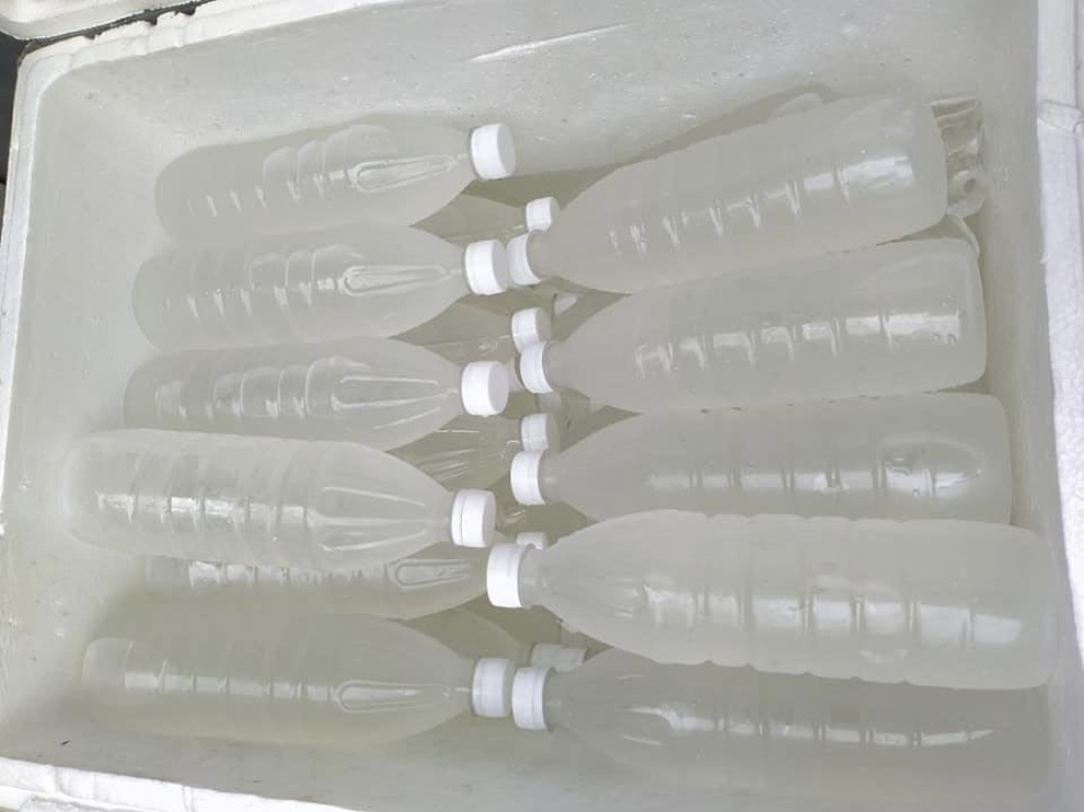 Thực hư về nước dừa tươi siêu rẻ, bán tràn lan 20.000 đồng/lít - 2 Thực hư về nước dừa tươi siêu rẻ, bán tràn lan 20.000 đồng/lít - 2
