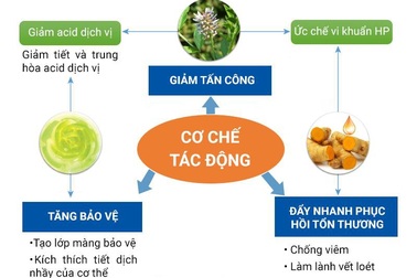 Nano curcumin có hiệu quả với bệnh nhân viêm loét dạ dày cấp?