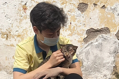 Chuyện cảm động của "biệt đội" cứu hộ chó mèo đặc biệt ở Hà Nội